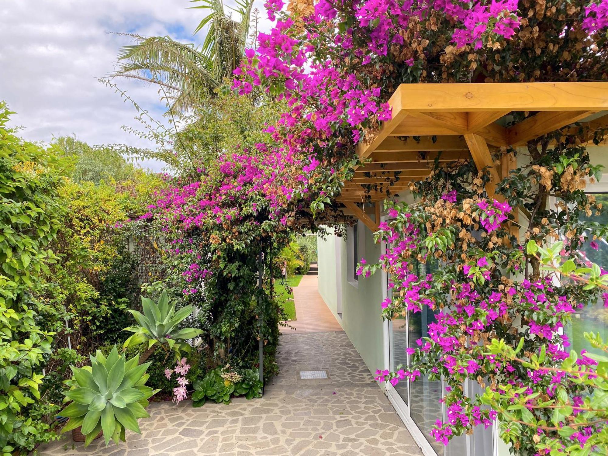 Terra Vivaz - Ribeira Cottage Ribeira Grande Εξωτερικό φωτογραφία
